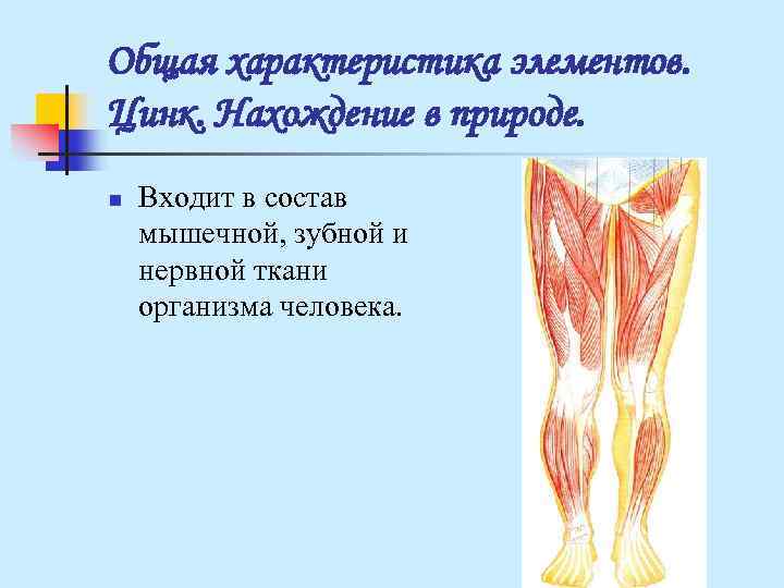 Общая характеристика элементов. Цинк. Нахождение в природе. n Входит в состав мышечной, зубной Общая характеристика элементов. Цинк. Нахождение в природе. n Входит в состав мышечной, зубной