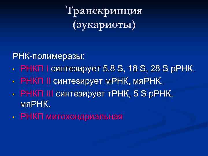   Транскрипция   (эукариоты) РНК-полимеразы:  • РНКП I синтезирует 5. 8