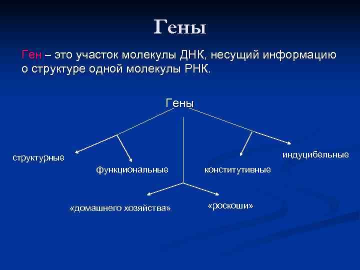      Гены Ген – это участок молекулы ДНК, несущий
