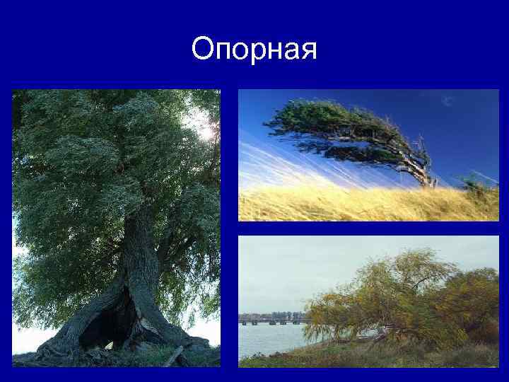 Опорная 