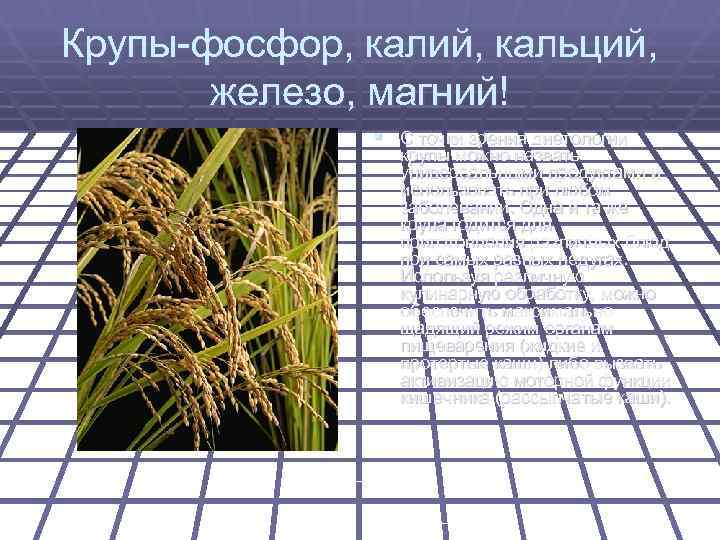 Крупы-фосфор, калий, кальций,   железо, магний!    § С точки зрения