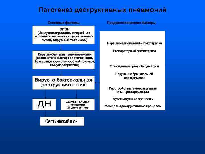 Патогенез деструктивных пневмоний 