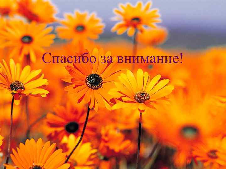 Спасибо за внимание! 