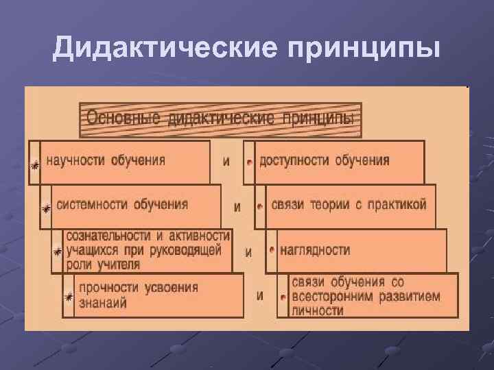 Дидактические принципы 
