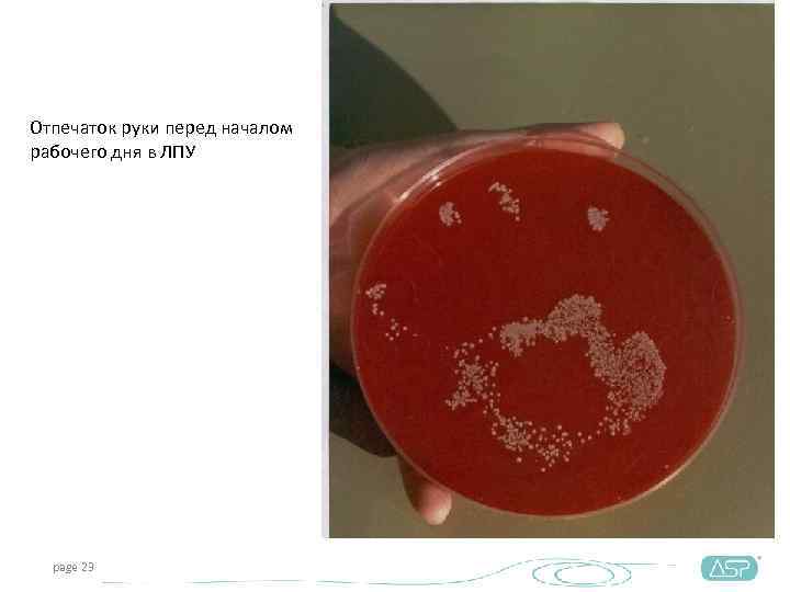 Отпечаток руки перед началом рабочего дня в ЛПУ  page 23 