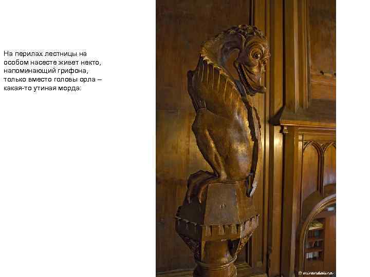    На перилах лестницы на особом насесте живет некто, напоминающий грифона, 