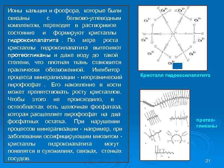 Ионы кальция и фосфора, которые были связаны  с белково-углеводным комплексом, переходят в растворимое