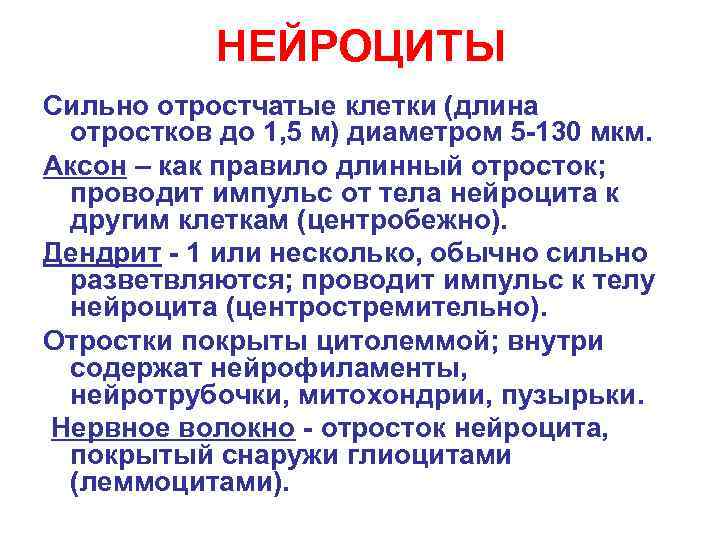 Нейроцит. Нейроциты.