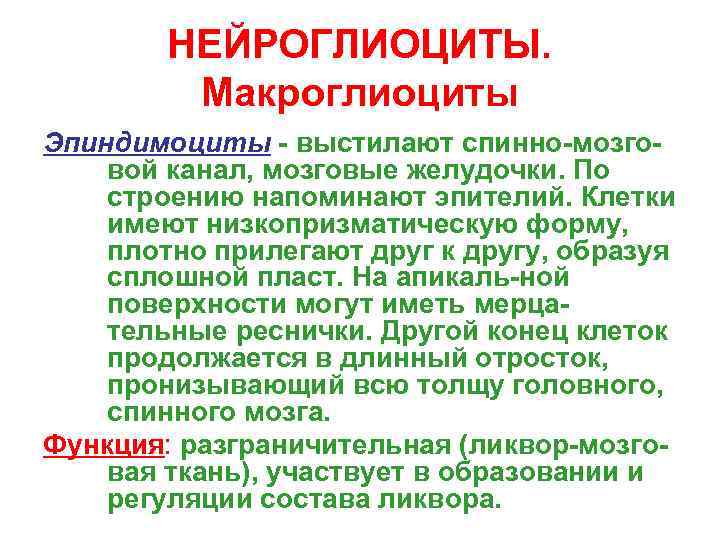   НЕЙРОГЛИОЦИТЫ.  Макроглиоциты Эпиндимоциты - выстилают спинно-мозго- вой канал, мозговые желудочки. По
