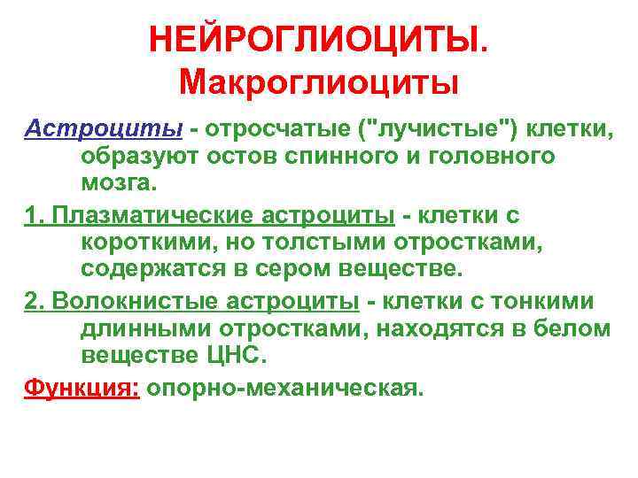    НЕЙРОГЛИОЦИТЫ.  Макроглиоциты Астроциты - отросчатые (