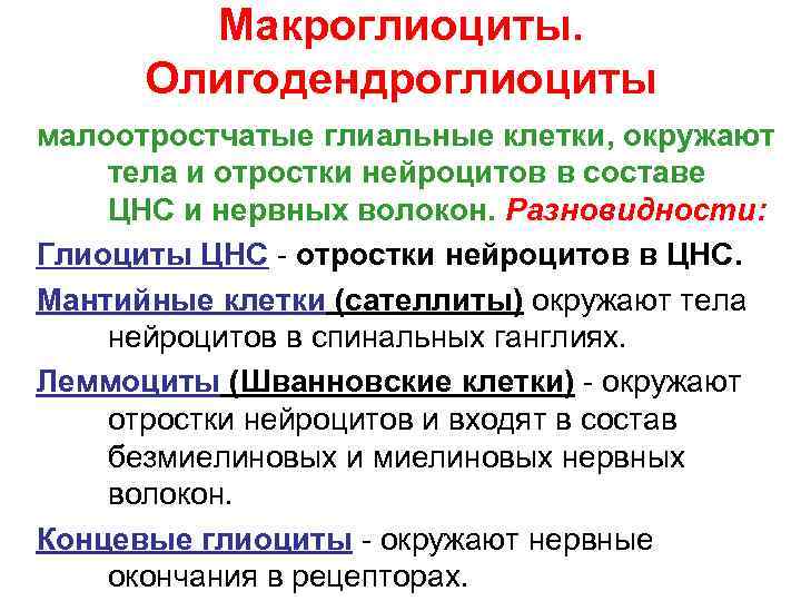   Макроглиоциты.  Олигодендроглиоциты малоотростчатые глиальные клетки, окружают тела и отростки нейроцитов в