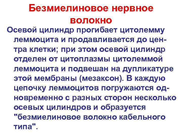   Безмиелиновое нервное  волокно Осевой цилиндр прогибает цитолемму леммоцита и продавливается до