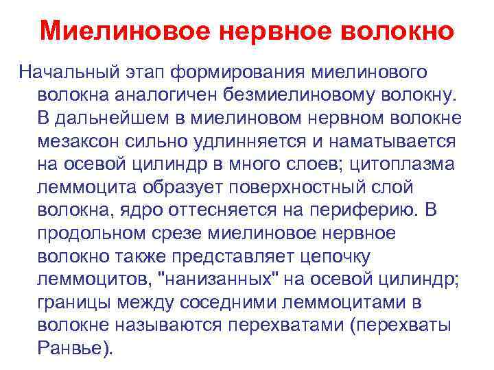  Миелиновое нервное волокно Начальный этап формирования миелинового волокна аналогичен безмиелиновому волокну.  В