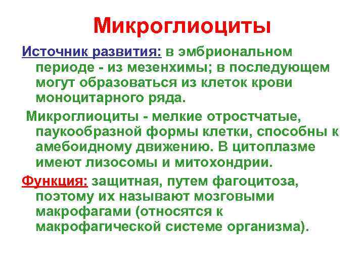   Микроглиоциты Источник развития: в эмбриональном периоде - из мезенхимы; в последующем могут