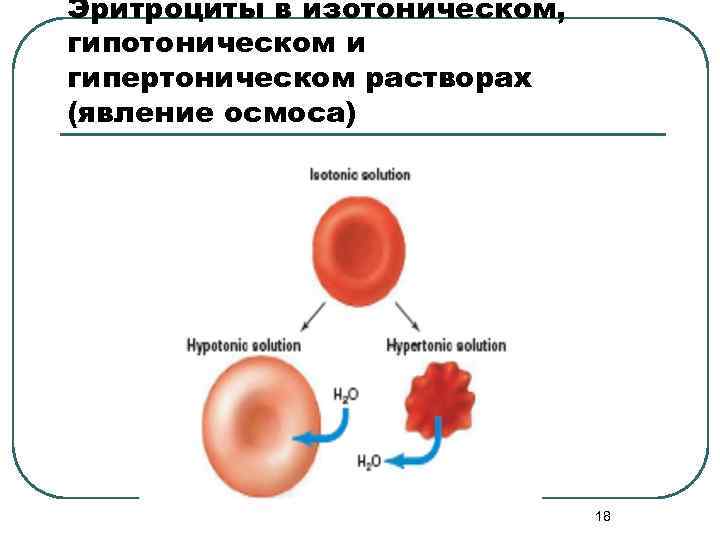 Изотонический раствор гипотонический