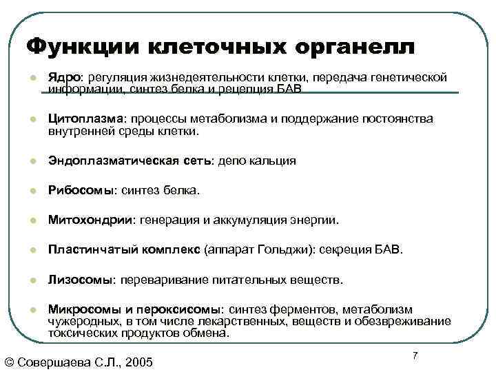   Функции клеточных органелл  l  Ядро: регуляция жизнедеятельности клетки, передача генетической