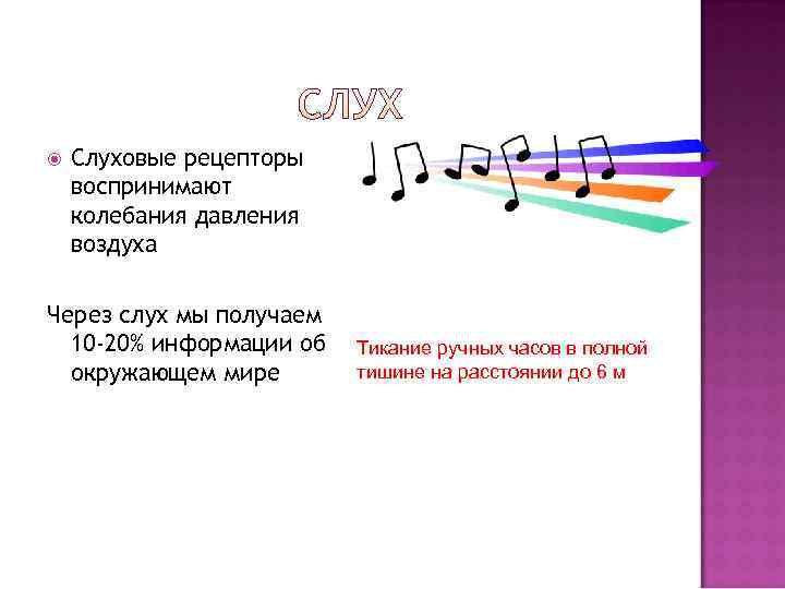  Слуховые рецепторы воспринимают колебания давления воздуха Через слух мы получаем  10