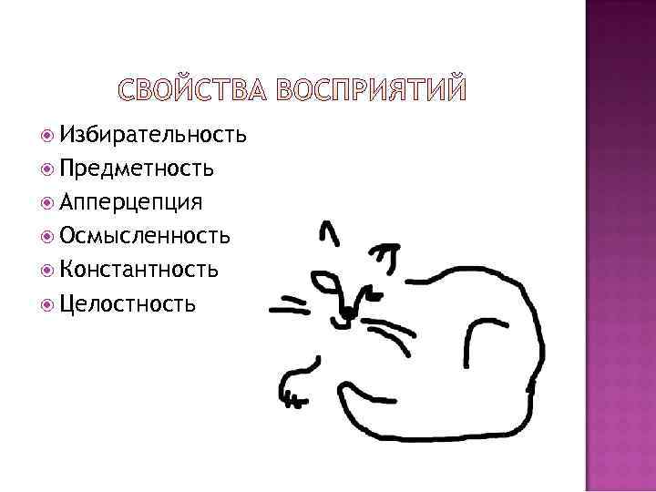  Избирательность  Предметность  Апперцепция  Осмысленность  Константность  Целостность 
