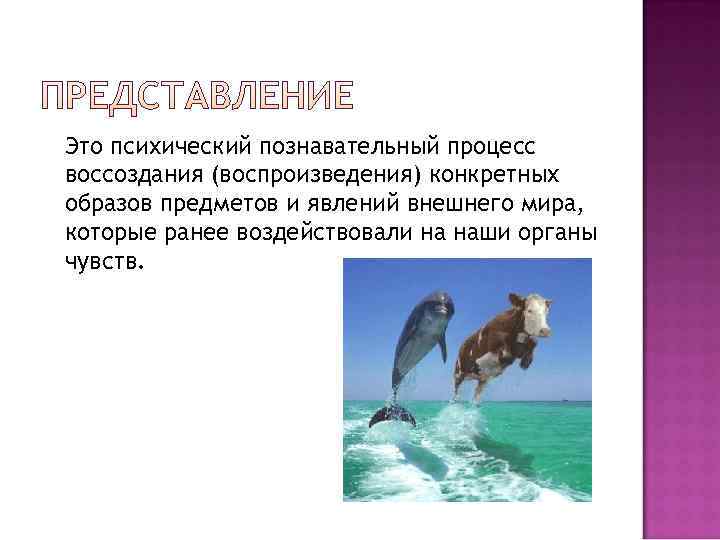Это психический познавательный процесс воссоздания (воспроизведения) конкретных образов предметов и явлений внешнего мира, которые