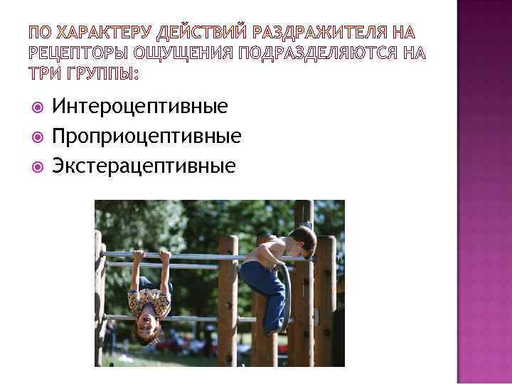   Интероцептивные Проприоцептивные Экстерацептивные 