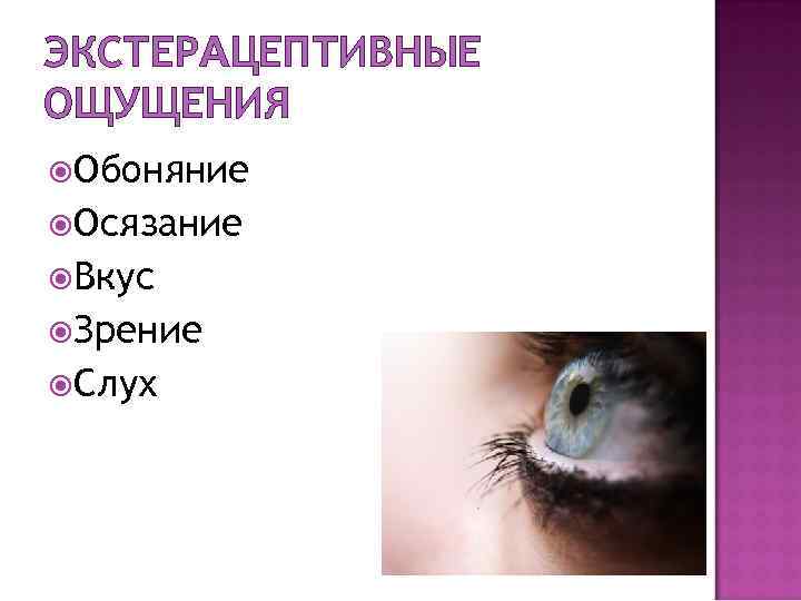 ЭКСТЕРАЦЕПТИВНЫЕ ОЩУЩЕНИЯ Обоняние Осязание Вкус Зрение Слух 