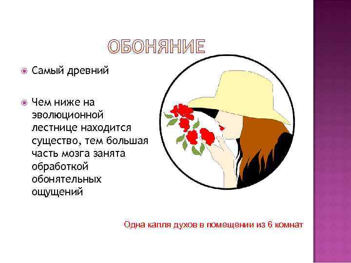   Самый древний Чем ниже на эволюционной лестнице находится существо, тем большая часть