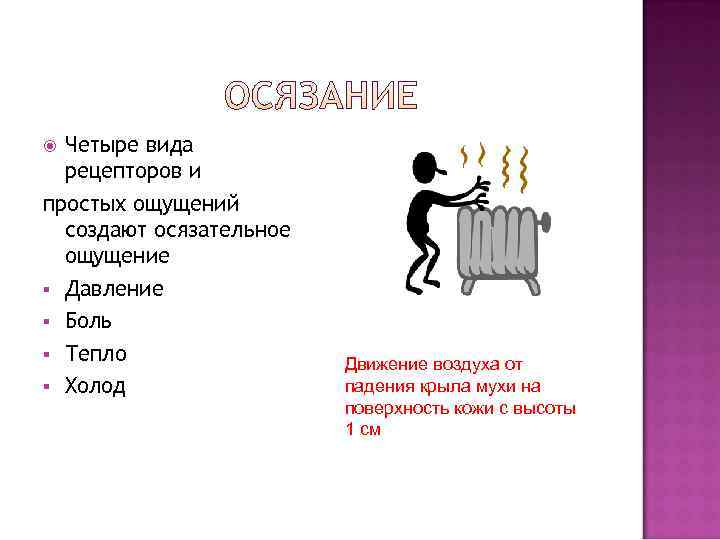  Четыре вида  рецепторов и простых ощущений  создают осязательное  ощущение §