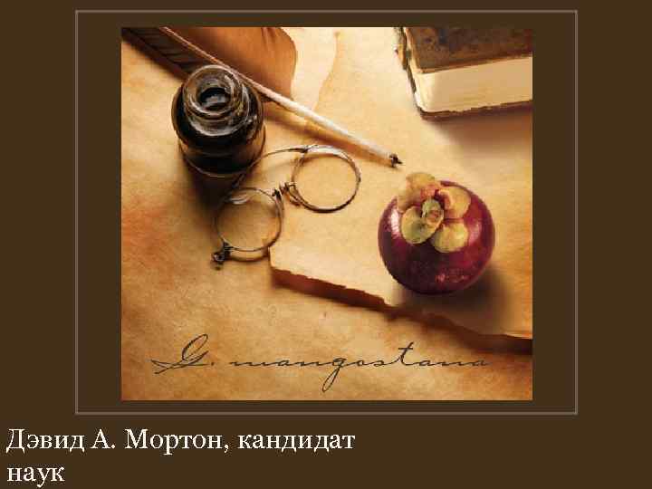 Дэвид А. Мортон, кандидат наук Дэвид А. Мортон, кандидат наук