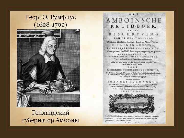 Георг Э. Румфиус (1628 -1702) Голландский губернатор Амбоны Георг Э. Румфиус (1628 -1702) Голландский губернатор Амбоны