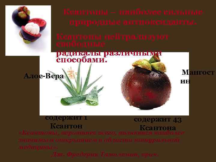 Ксантоны – наиболее сильные природные антиоксиданты. Ксантоны – наиболее сильные природные антиоксиданты.