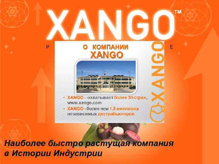 Наиболее быстро растущая компания в Истории Индустрии Наиболее быстро растущая компания в Истории Индустрии
