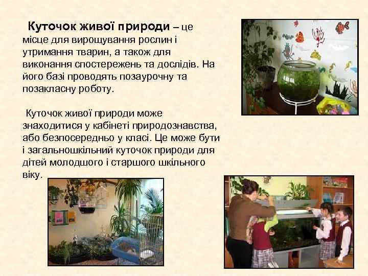 Куточок живої природи – це місце для вирощування рослин і утримання тварин, а Куточок живої природи – це місце для вирощування рослин і утримання тварин, а
