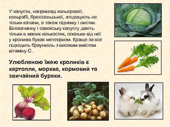 У капусти, наприклад кольорової, кольрабі, брюссельської, згодовують не тільки качани, а також підніжку У капусти, наприклад кольорової, кольрабі, брюссельської, згодовують не тільки качани, а також підніжку