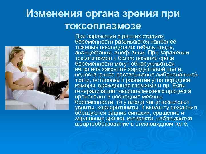 Изменения органа зрения при  токсоплазмозе   При заражении в ранних стадиях 