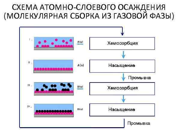  СХЕМА АТОМНО-СЛОЕВОГО ОСАЖДЕНИЯ (МОЛЕКУЛЯРНАЯ СБОРКА ИЗ ГАЗОВОЙ ФАЗЫ) 