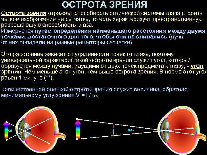 От чего зависит острота зрения. Параметры остроты зрения. Оптическая система глаза. Угол зрения. Острота зрения.. Максимальная острота зрения. Острота зрения это физиология.