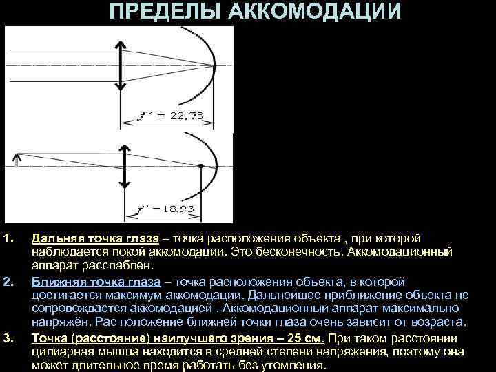 Ближняя точка зрения. Дальняя и Ближняя точки аккомодации нормального глаза. Предел аккомодации глаза. Ближняя точка аккомодации. Дальняя и Ближняя точки видения глаза.