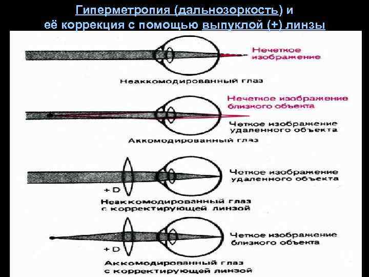 Зрение с точки зрения физики проект