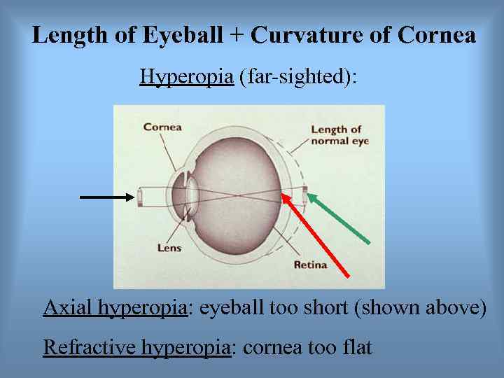 Length of Eyeball + Curvature of Cornea  Hyperopia (far-sighted):  Axial hyperopia: eyeball