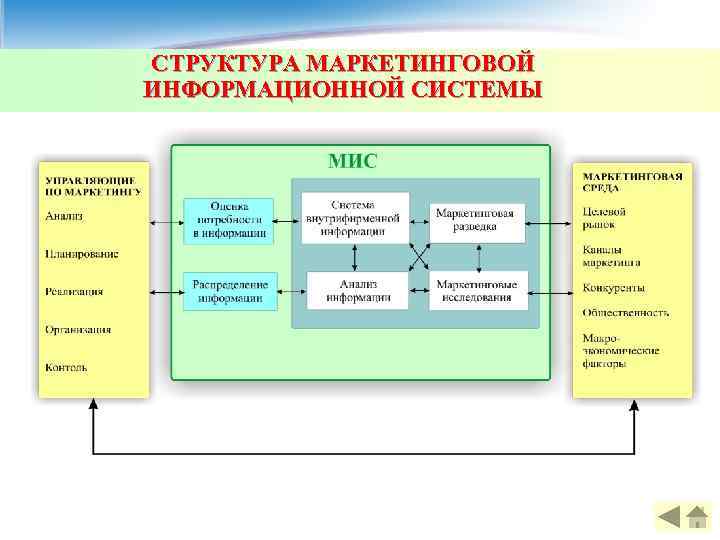 СТРУКТУРА МАРКЕТИНГОВОЙ ИНФОРМАЦИОННОЙ СИСТЕМЫ 