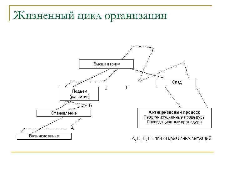 Жизненный цикл организации 