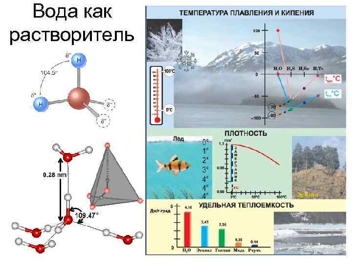 Вода как растворитель 