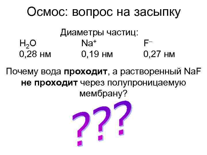   Осмос: вопрос на засыпку   Диаметры частиц:  H 2 O