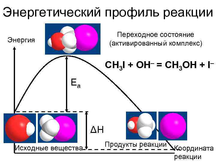 Энергетический профиль реакции     Переходное состояние Энергия    (активированный
