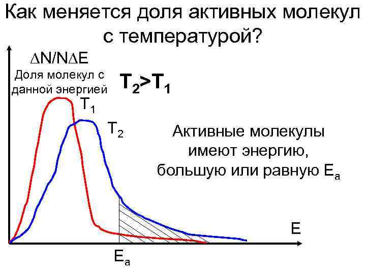 Как меняется доля активных молекул   с температурой?  ∆N/N∆E Доля молекул с