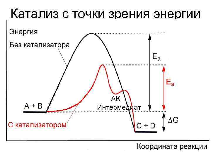 Катализ с точки зрения энергии     AK   Интермедиат 