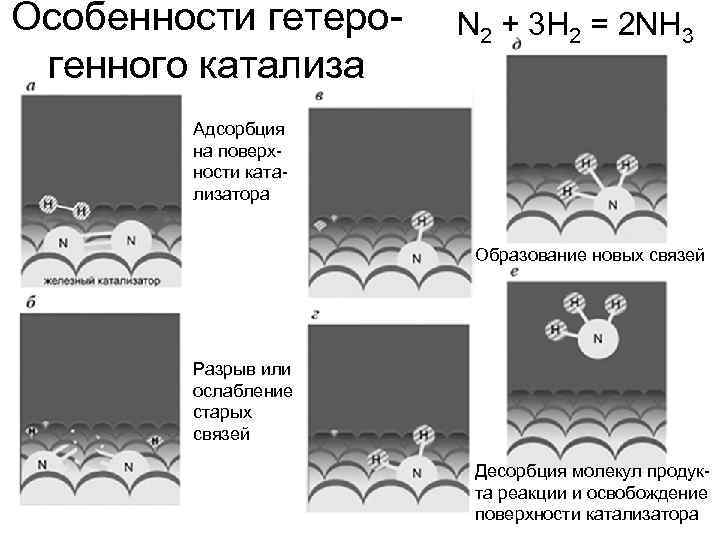 Особенности гетеро-  N 2 + 3 H 2 = 2 NH 3 генного