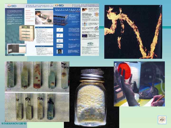 STAKHANOV© 2010 
