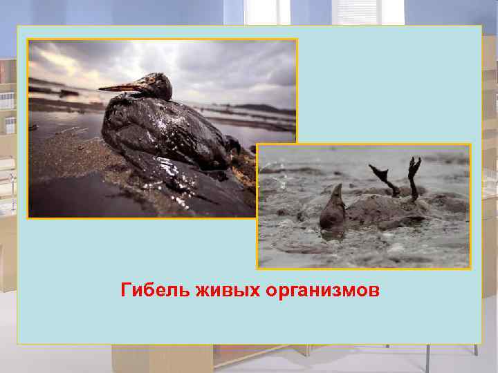 Гибель живых организмов 
