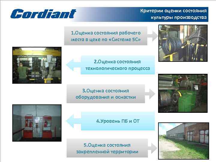      Критерии оценки состояния      культуры